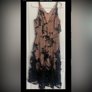 Dress the Population Women's Embellished Plunging Gown Sleeveless Homecoming M